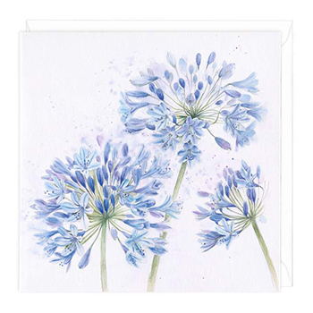 Card Agapanthus